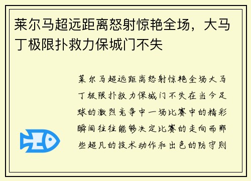 莱尔马超远距离怒射惊艳全场，大马丁极限扑救力保城门不失